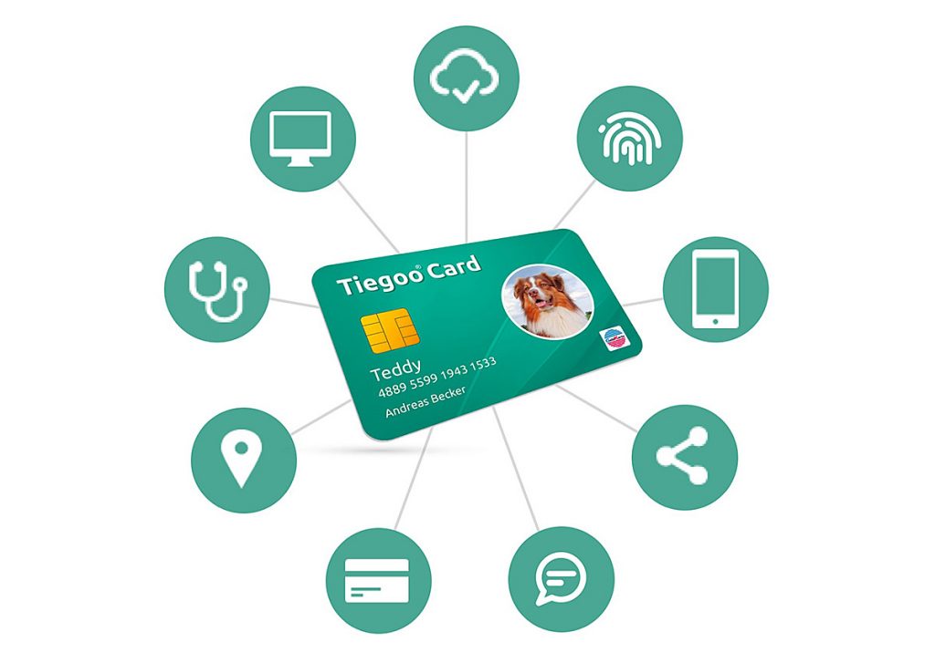 Tiegoo Card