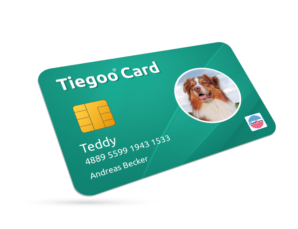 Tiegoo Card